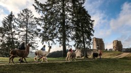 Eifelnomaden an der Burgruine Schönecken, © Eifelnomaden, Julietta Baums