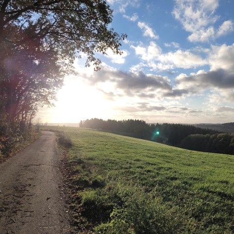 Prümer Land Touren, © Tourist-Information Prümer Land Sebastian Wiesen