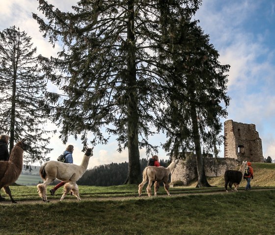 Eifelnomaden an der Burgruine Schönecken, © Eifelnomaden, Julietta Baums