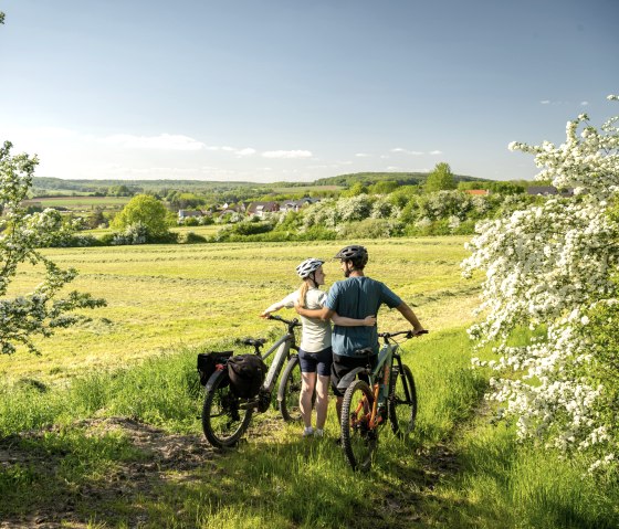 Ausblick in die südliche Eifel mit Streuobstwiesen, Nims-Radweg, © Eifel Tourismus GmbH, Dominik Ketz