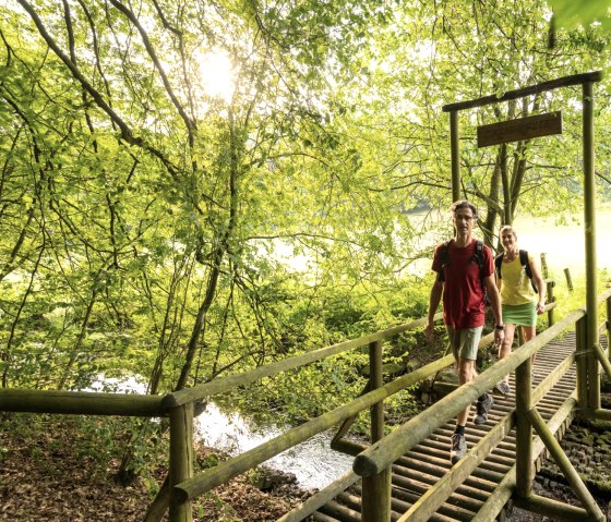 Bach-Pfad im NaturWanderPark delux, Ernst-Brücke über den Alfbach, © Eifel Tourismus GmbH, D. Ketz