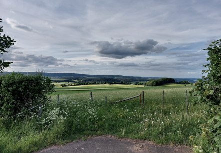 Blick  östliche Kalkmulde Büdesheim, © Tourist-Information Prümer Land Elke Dahm