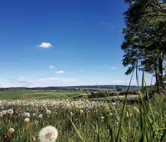 Panoramablick Olzheim, © Tourist-Information Prümer Land