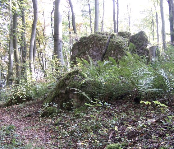 Felsen Schönecker Schweiz, Archiv TI Prüm