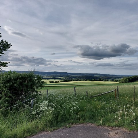 Blick  östliche Kalkmulde Büdesheim, © Tourist-Information Prümer Land Elke Dahm