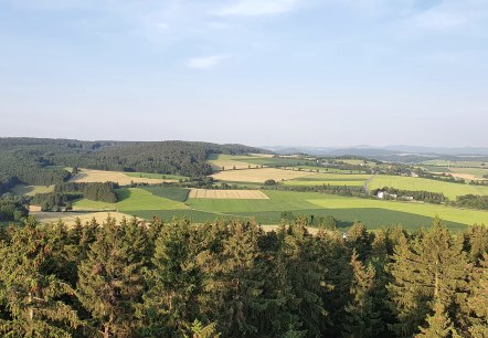 Eifel Blick Weinsheim (6), © Tourist-Information Prümer Land Sebastian Wiesen