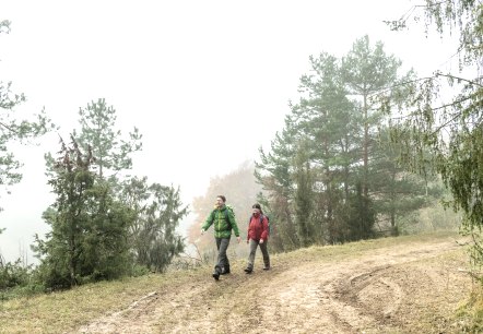 Unterwegs in der Schönecker Schweiz, © Eifel Tourismus GmbH, Dominik Ketz