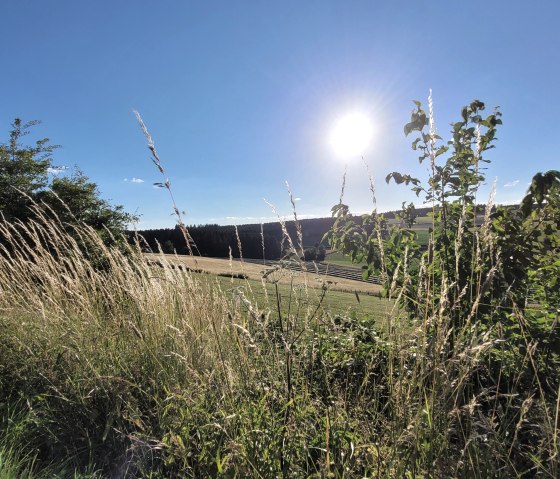 Wandern Natur 1, © Tourist-Information Prümer Land Sebastian Wiesen