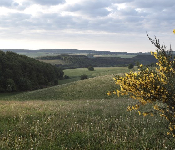 Panorama Schneifel - Höhe Richelberg, Bleialf, © Tourist-Information Prümer Land