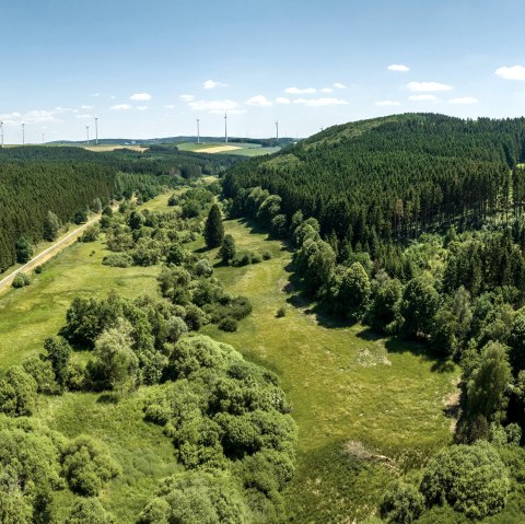 Alfbachtal Pronsfeld-Habscheider Mühle, © Tourist-Information Prümer Land/Eifel Tourismus (ET) GmbH