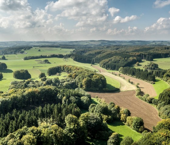 Ausblick bei der Wanderung auf dem Schneifel-Pfad, © Eifel Tourismus GmbH, D. Ketz