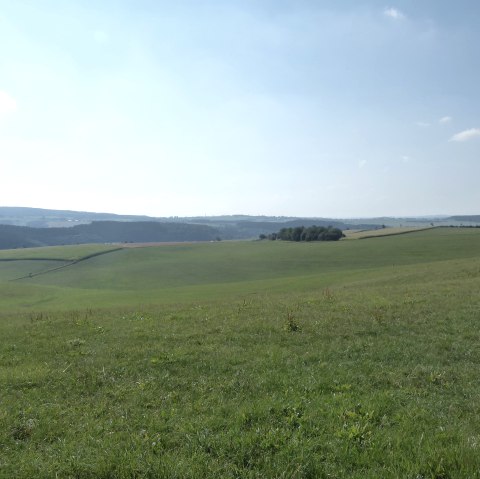 Panoramablick auf die Höhen bei Bleialf, © Tourist-Information Prümer Land