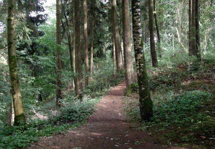 Tettenbusch Prüm 1, © Tourist-Information Prümer Land, Sebastian Wiesen