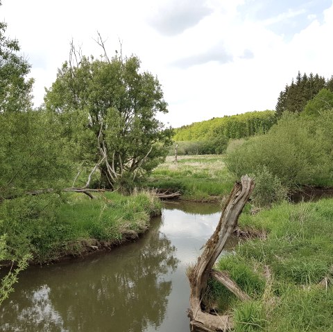 Pronsfeld und Alfbachtal (46), © Tourist-Information Prümer Land Sebastian Wiesen