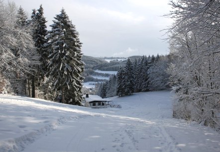 Blick Skipiste Wolfsschlucht (oberer Teil), © Tourist-Information Prümer Land (Archivfoto)