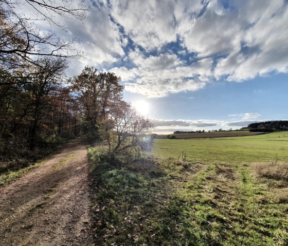 Wanderweg mit Ausblick Prüm, © Tourist-Information Prümer Land, Sebastian Wiesen