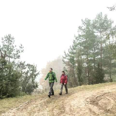 Unterwegs in der Schönecker Schweiz, © Eifel Tourismus GmbH, Dominik Ketz