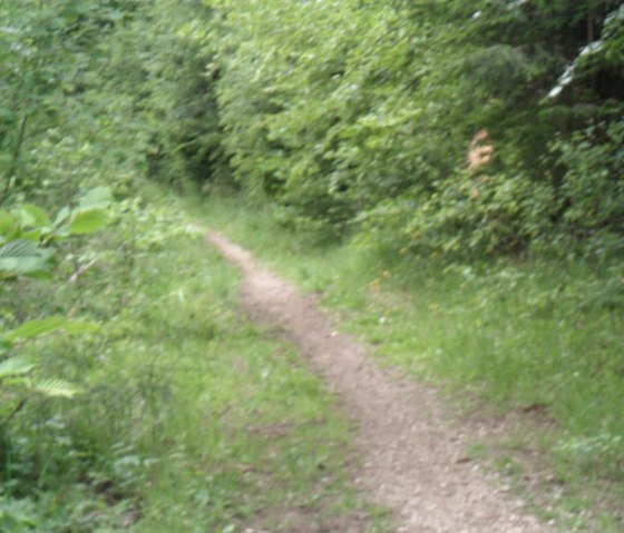 Waldpfad im Tettenbusch, © Tourist-Information Prümer Land