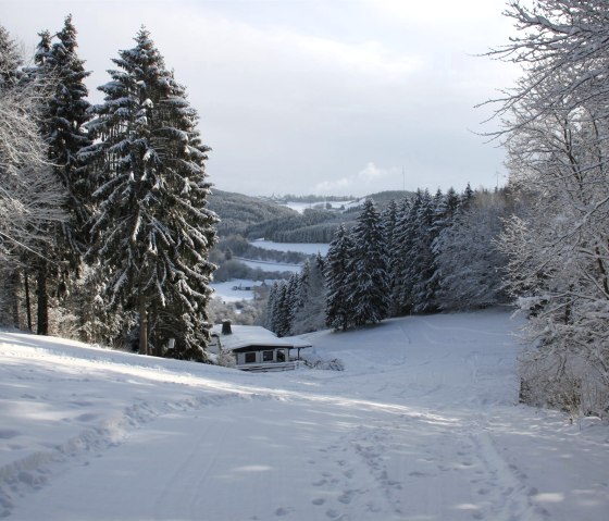 Blick Skipiste Wolfsschlucht (oberer Teil), © Tourist-Information Prümer Land (Archivfoto)