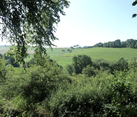 Panoramablick bei Bleialf, © Tourist-Information Prümer Land