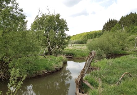 Pronsfeld und Alfbachtal (46), © Tourist-Information Prümer Land Sebastian Wiesen