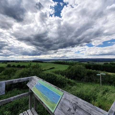 Eifel-Blick Katzenkopf, © Tourist-Information Prümer Land, Sebastian Wiesen