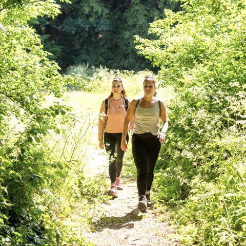 Wandern 1, © Eifel Tourismus GmbH, D. Ketz