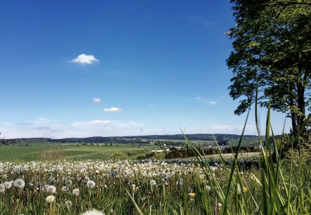 Panorama-Landschaft bei Olzheim, © Tourist-Information Prümer Land/ Sebastian Wiesen