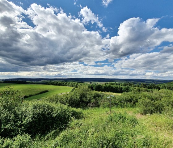 Eifel-Blick Gondenbrett, © TI-Prüm/S.Wiesen