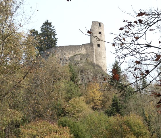 Burgruine Schönecken