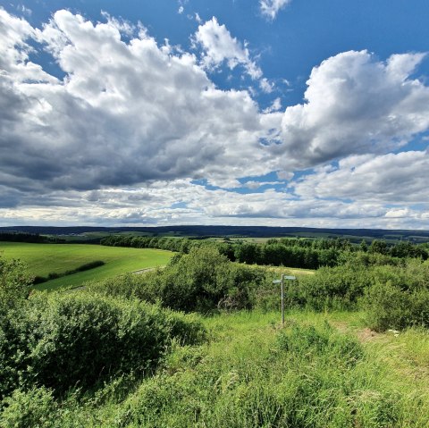 Eifel-Blick Gondenbrett, © TI-Prüm/S.Wiesen