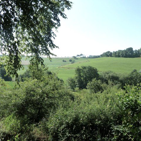 Landschaft bei Bleialf, © Tourist-Information Prümer Land