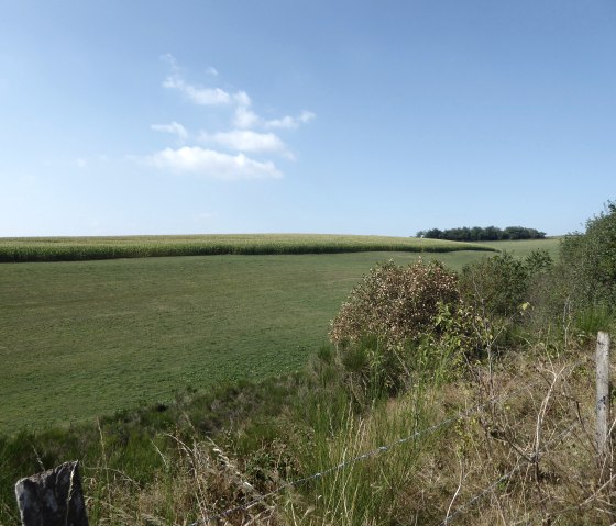 Landschaft bei Bleialf, © Tourist-Information Prümer Land