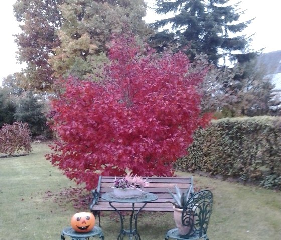 Im Garten