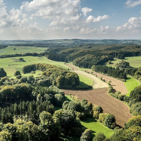 Panorama-Waldbild Prümer Land, © Tourist-Information Prüm/Naturpark Nordeife