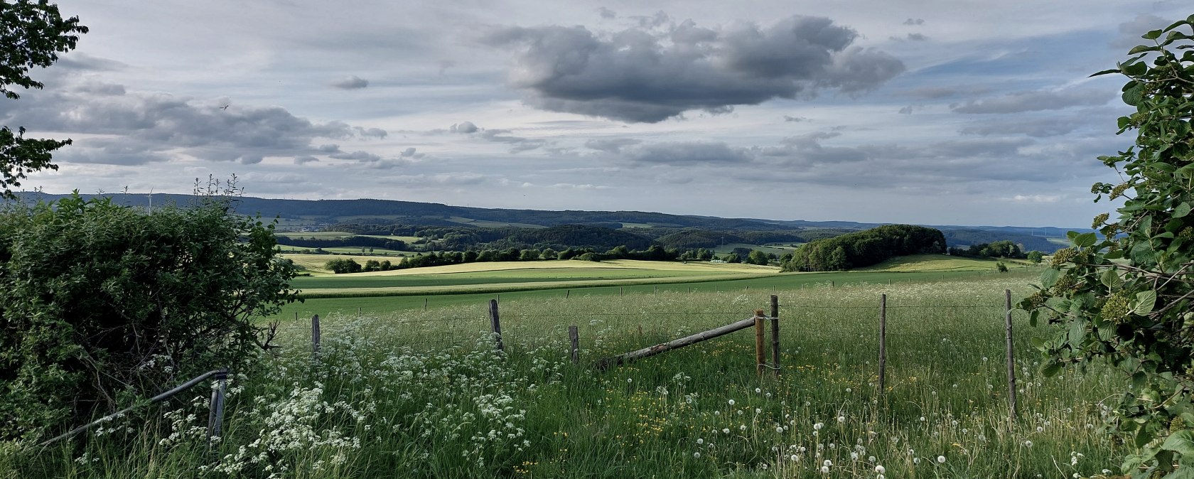 Blick  östliche Kalkmulde Büdesheim, © Tourist-Information Prümer Land Elke Dahm