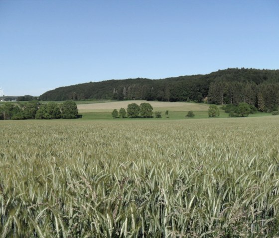 Wandern rund um Rommersheim, © Tourist-Information Prümer Land