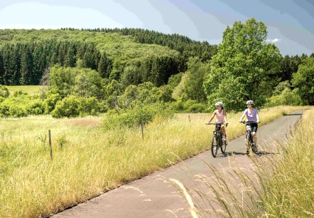 Zwei Radfahrerinnen auf dem Eifel-Ardennen-Radweg im Alfbachtal , © Eifel Tourismus GmbH, Dominik Ketz