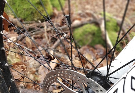 Rad im Wald, © Sebastian Wiesen